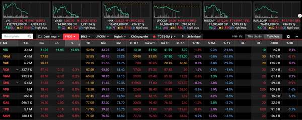 Áp lực bán gia tăng khiến VN-Index giảm hơn 10 điểm, 1 mã VN30 ngược dòng gánh thị trường