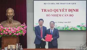 Ảnh bài viết