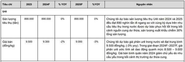 Giá phân bón gặp áp lực, DCM và DPM tìm động lực từ vụ Đông Xuân