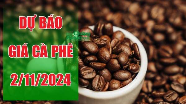 Dự báo giá cà phê ngày 2/11: Có thể tiếp tục lao dốc 