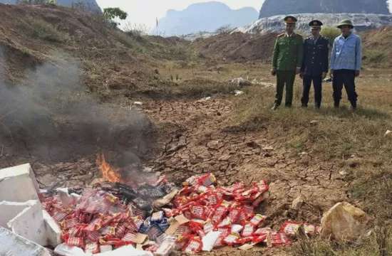 Thanh Hóa: Tiêu hủy 1,8 tấn thực phẩm không rõ nguồn gốc