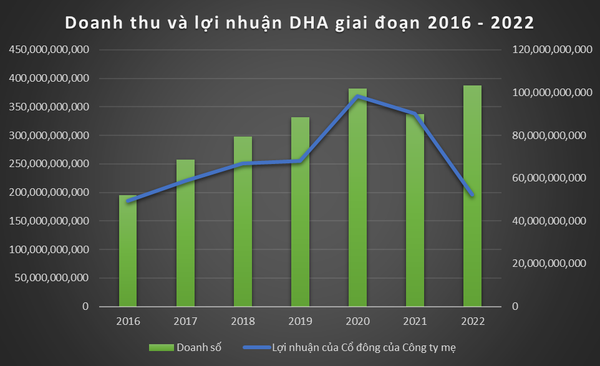 Báo cáo tài chính doanh nghiệp DHA giai đoạn 2016 - 2022