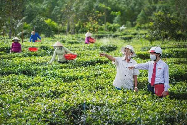 Ảnh bài viết