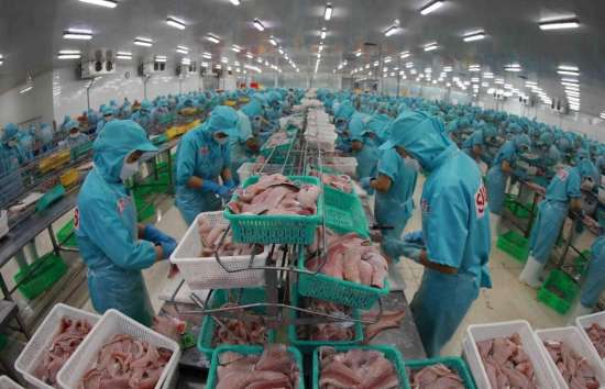 Hiệp định EVFTA - 'đại lộ' đưa hàng hóa Việt Nam tiến sâu vào thị trường Pháp