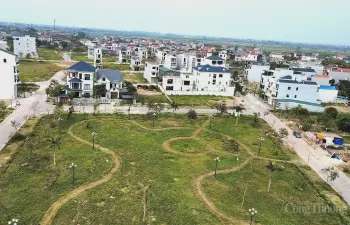 Ảnh bài viết