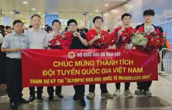 Ảnh bài viết