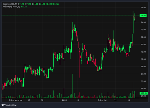 Diễn biến gia cổ phiếu BCM