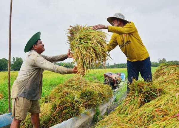 Ảnh bài viết