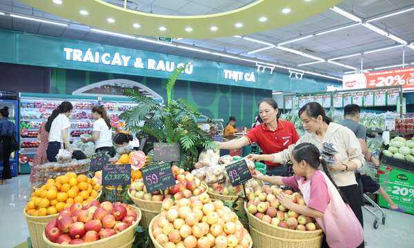 Ảnh bài viết