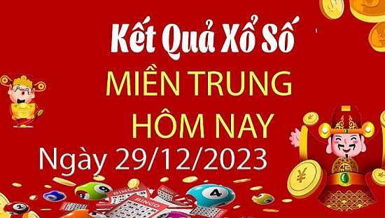 Ảnh bài viết