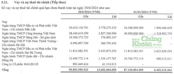 Bị nghi ngờ khả năng hoạt động liên tục: BIDV, VietinBank, MSB... 