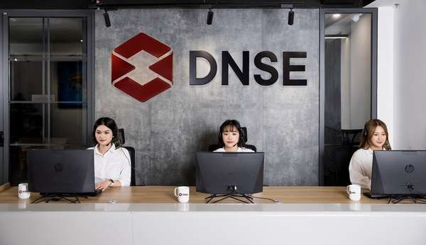 dnse.jpg