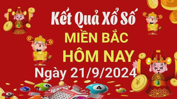 Ảnh bài viết