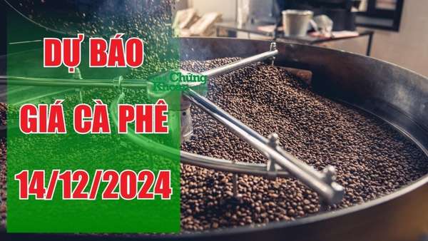 Dự báo giá cà phê ngày 14/12/2024: Tăng không ngừng, cà phê Đắk Nông tiếp tục đắt khách