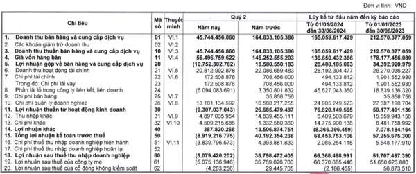Báo lỗ quý 2: Một doanh nghiệp 100% vốn nhà nước gánh khối nợ gấp 1,5 lần vốn chủ sở hữu
