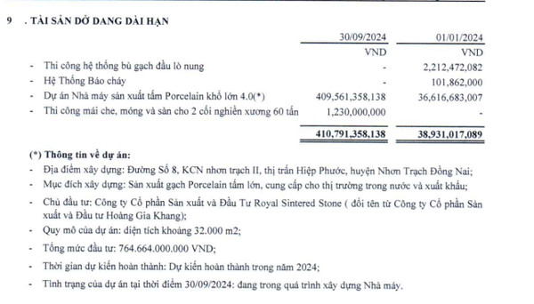 Đầu tư Hoàng Gia (RYG): Doanh thu và lợi nhuận tăng mạnh, tổng nợ phải trả cũng tăng theo