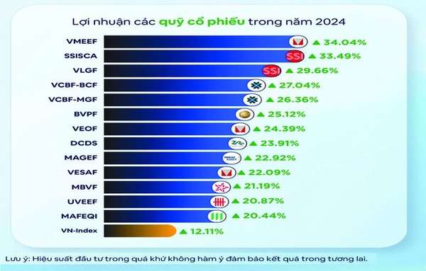 Chứng khoán Việt Nam 2025: Quỹ mở nở rộ, ghi dấu ấn đậm nét