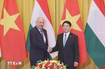 Ảnh bài viết