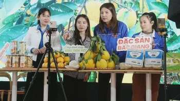 Mở đường cho doanh nghiệp nhỏ lên sàn thương mại điện tử