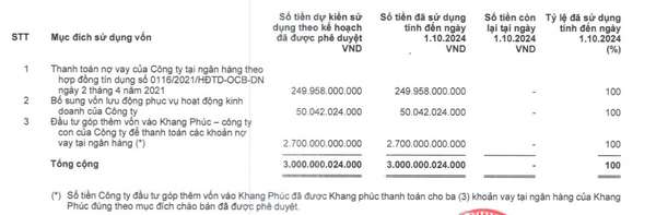 Nhà Khang Điền (KDH): Đầu tư mạnh vào công ty con, sắp hái quả ngọt từ The Privia trong quý 4/2024