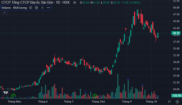 Doanh thu tăng vọt 218% trong quý 3, Địa ốc Sài Gòn (Saigonres) chỉ mới thực hiện vỏn vẹn 10% kế hoạch lợi nhuận