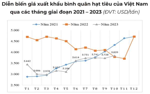 Lý do giá tiêu trong nước đang tăng ngược thị trường thế giới?