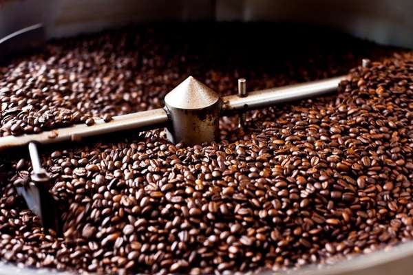 Giá cà phê trong nước có thể đạt đến mức lịch sử mới 150.000 đồng/kg