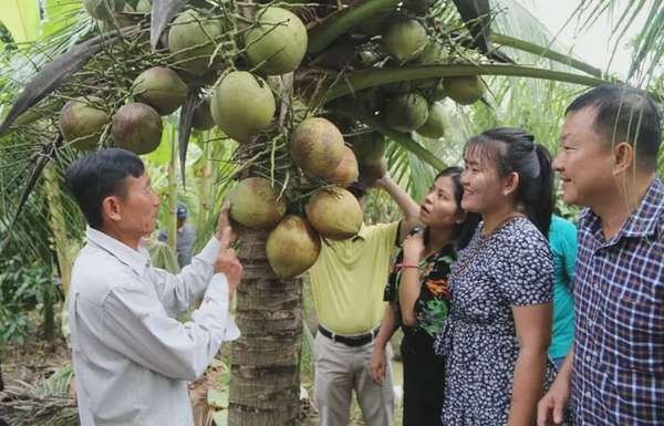 Ảnh bài viết