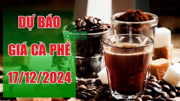 Dự báo giá cà phê ngày 17/12/2024: Đắk Nông lập đỉnh, đà tăng chưa dừng lại?