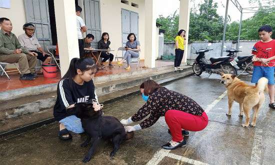 Tử vong do bệnh dại tăng gấp đôi so với năm ngoái