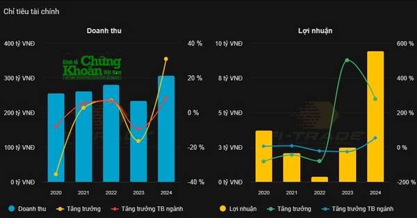 Doanh thu và lợi nhuận năm 2024 của  Din Capital đều đạt mức cao nhất trong giai đoạn 2020 - 2024. Nguồn: Dữ liệu Kinhtechungkhoan.vn