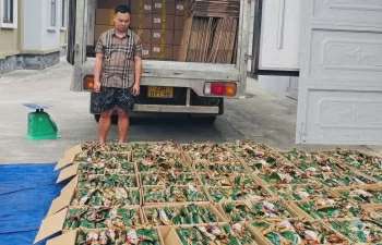 Ảnh bài viết