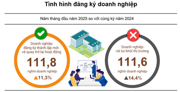 doanh nghiệp 5 tháng