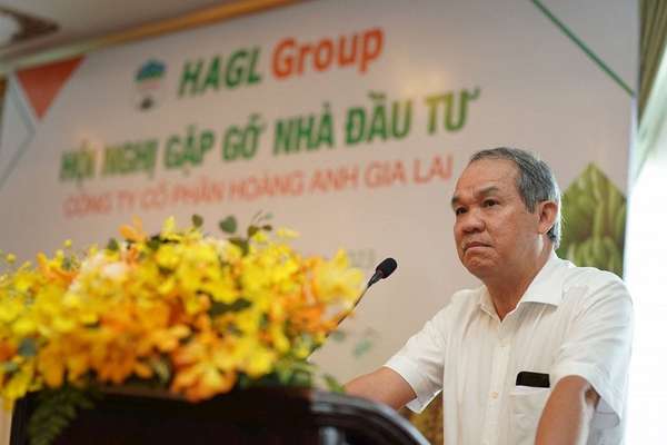 hoanganhgialai4.jpg
