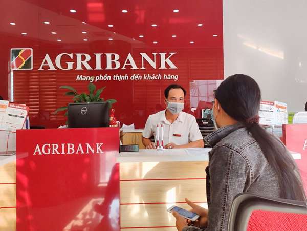 Agribank rao bán 6 lô đất với tổng diện tích gần 3.000 m2: Giá khởi điểm gần 45,4 tỷ đồng