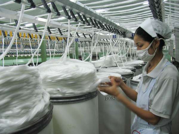 Thị trường sợi bông Trung Quốc có gì mới?