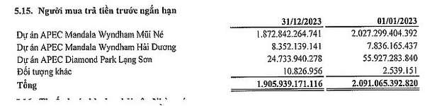 Doanh nghiệp thứ hai trong hệ sinh thái APEC Group tổ chức ĐHĐCĐ bất thành