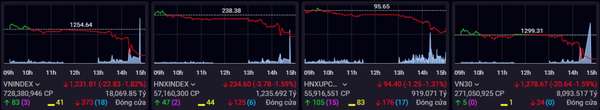 Kỳ vọng để rồi thất vọng, chứng khoán bất ngờ rơi tới gần 23 điểm