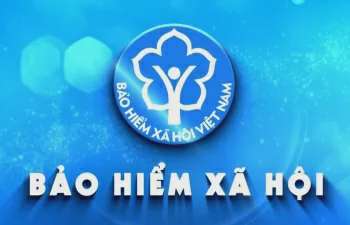 Ảnh bài viết