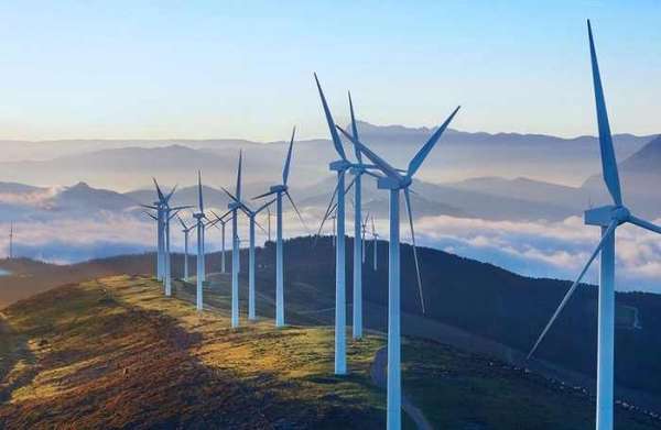 Điện gió Phong Liệu là doanh nghiệp hiếm hoi trong ngành năng lượng tái tạo báo lãi trong năm qua.