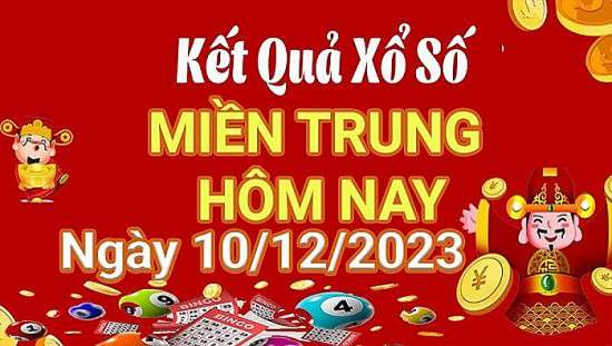 Ảnh bài viết