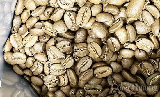 Giá cà phê hôm nay, ngày 27/9/2023: Giá cà phê trong nước giảm 400 đồng/kg