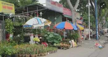 Ảnh bài viết