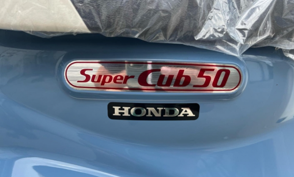 cub2.png