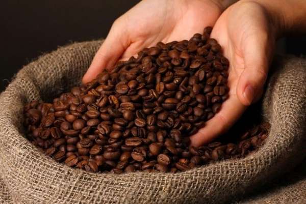 Giá cà phê hôm nay 16/3/2025: Giảm đồng loạt cuối tuần, cà phê Arabica chạm đáy hai tuần