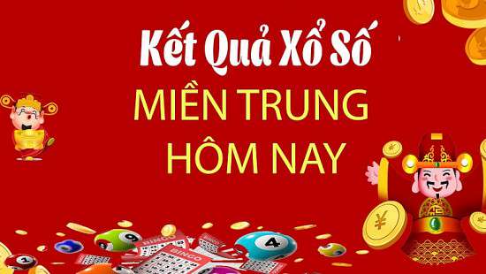 Ảnh bài viết