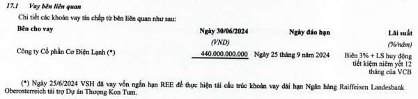 Thuỷ điện Vĩnh Sơn - Sông Hinh: Lợi nhuận 6 tháng lao dốc 90,7%, phải đóng lãi hơn 800 triệu mỗi ngày