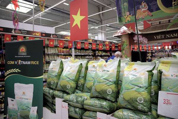 gạo LT