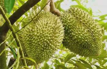 Ảnh bài viết