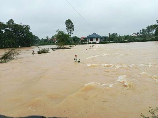 Ảnh bài viết